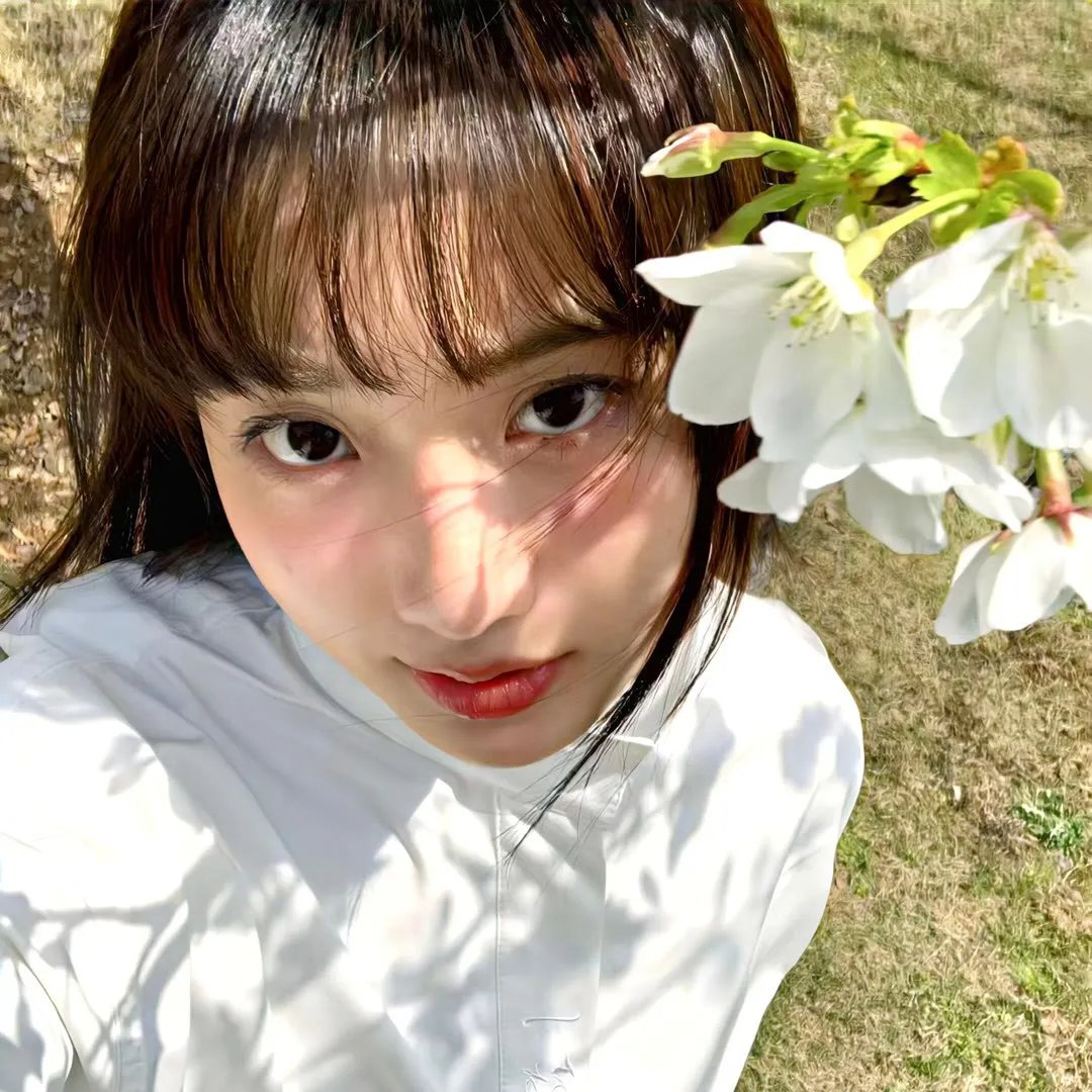 海鸥乔纳森 在线观看
